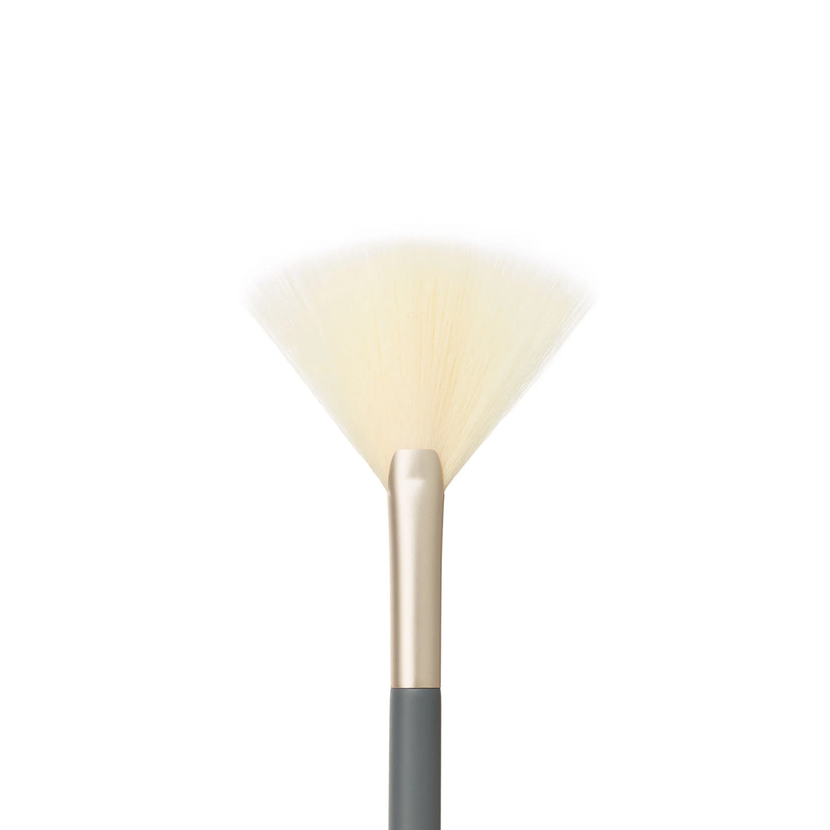 BRUSHES - Fan Brush
